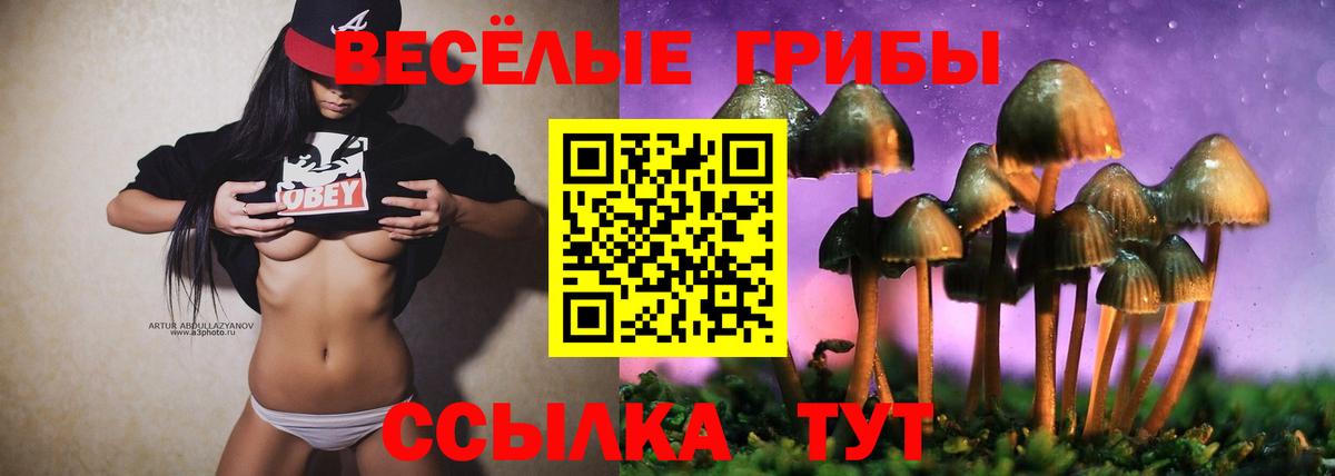 Псилоцибиновые грибы мицелий Новокуйбышевск